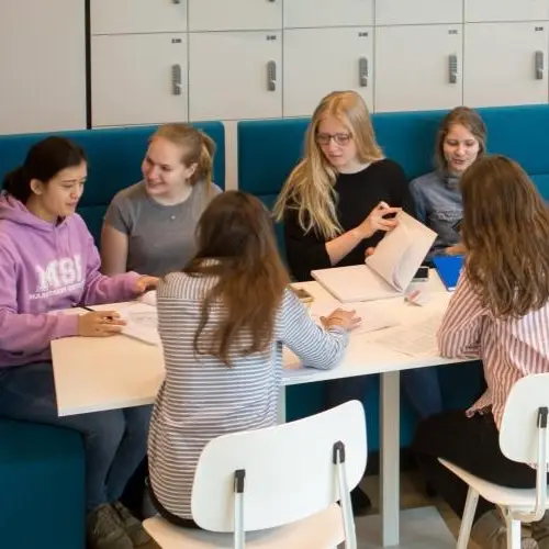 My work fse msp header